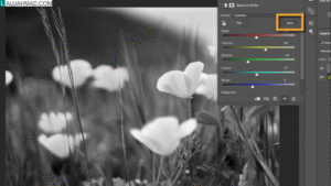 cara edit foto hitam putih di Photoshop CS3
